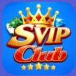 SVIP Game